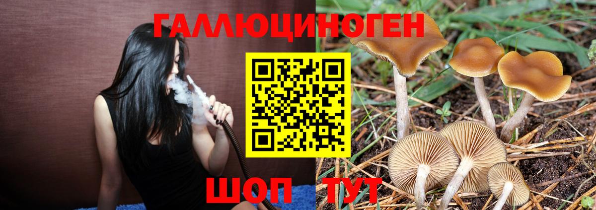 даркнет сайт  Галлюциногенные грибы MAGIC MUSHROOMS  Ялуторовск  Вход с VPN  Галлюциногенные грибы мухоморы 